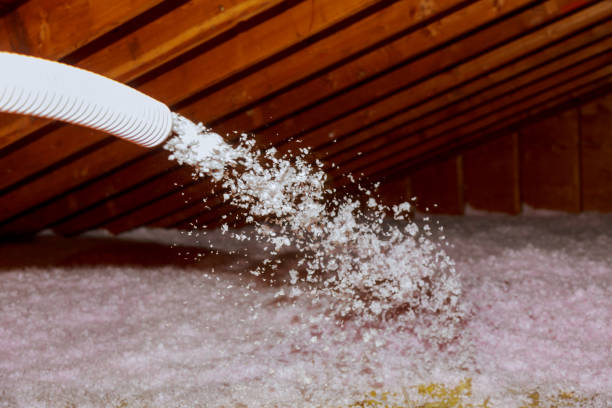 Professional Insulation Contractor in Ellsworth, WI