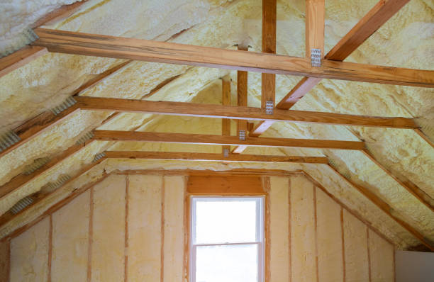Best Cellulose Insulation in Ellsworth, WI