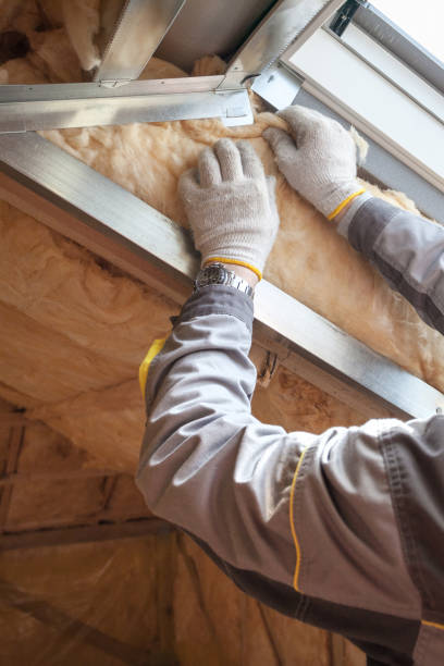 Best Eco-Friendly Insulation in Ellsworth, WI