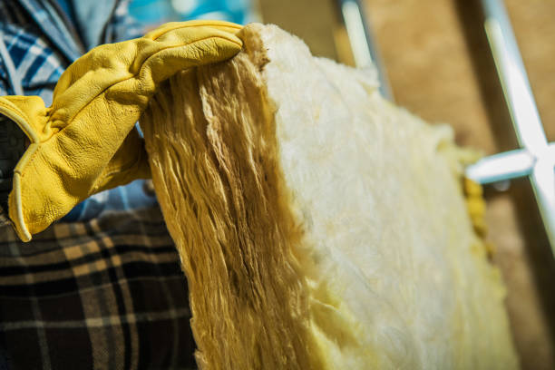 Best Fiberglass Insulation in Ellsworth, WI
