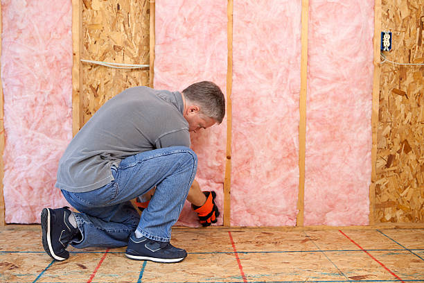 Best Geographic-Specific Insulation Services in Ellsworth, WI